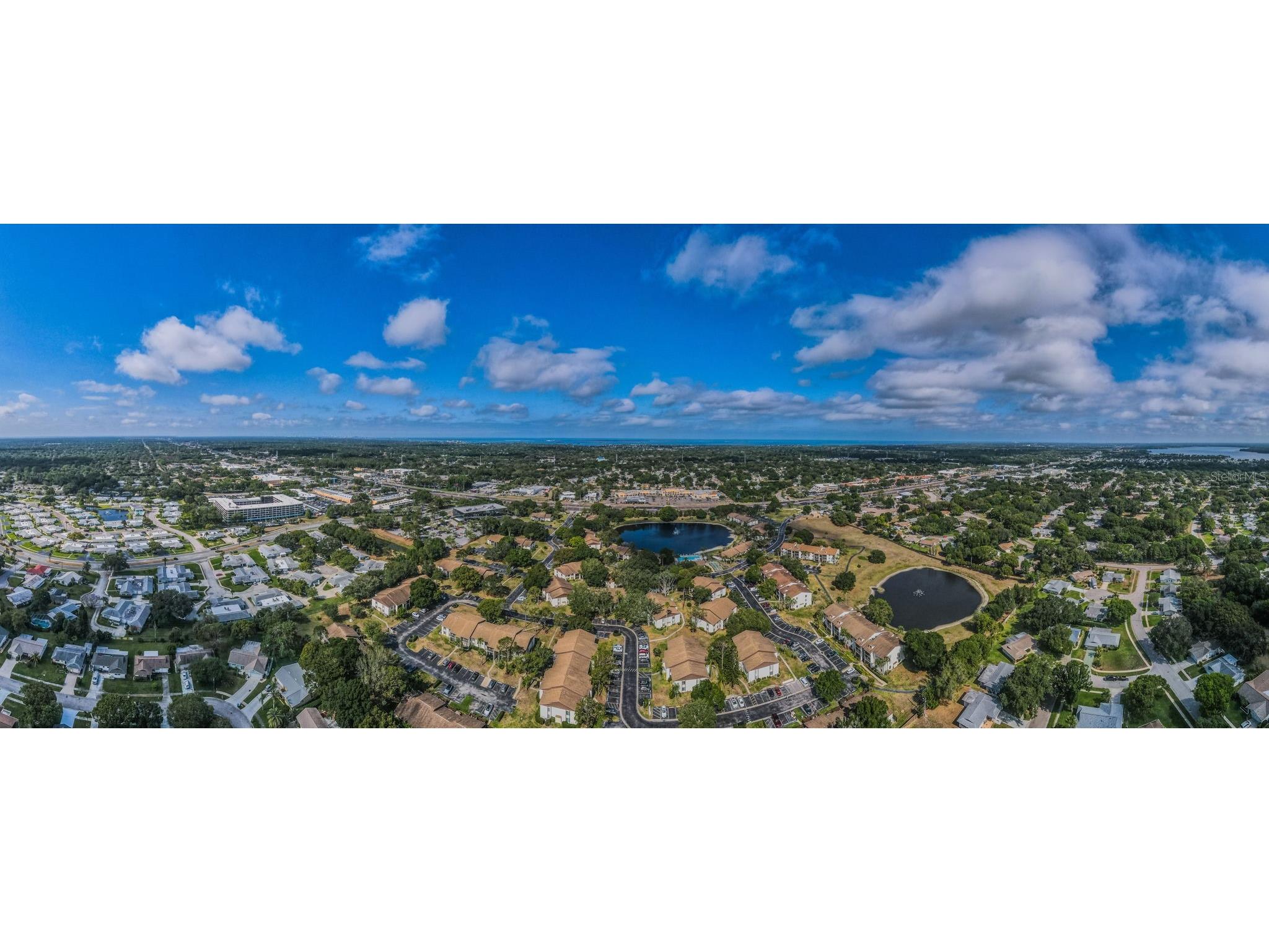 2600 Pine Ridge Way S #A2 Palm Harbor FL 34684 TB8506619 image64