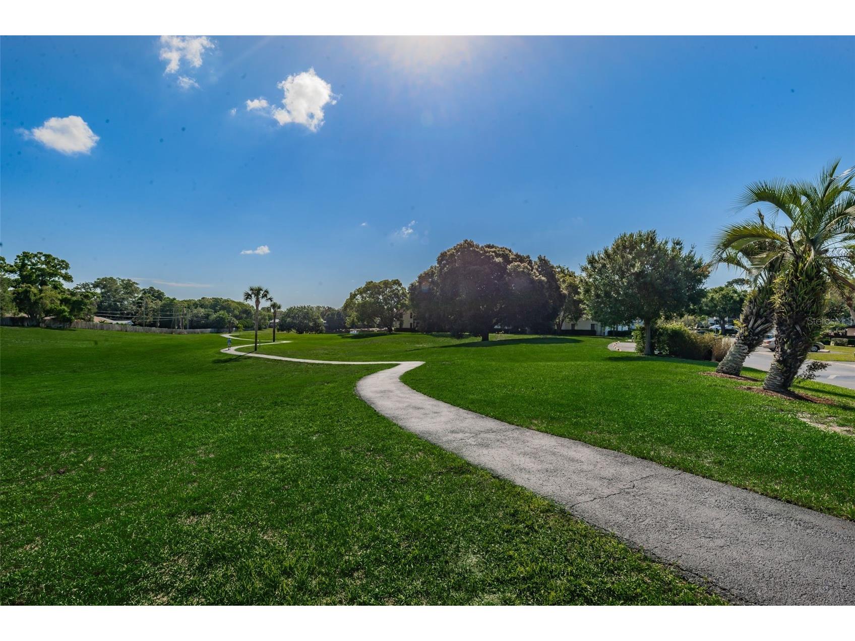 2600 Pine Ridge Way S #A2 Palm Harbor FL 34684 TB8506619 image65