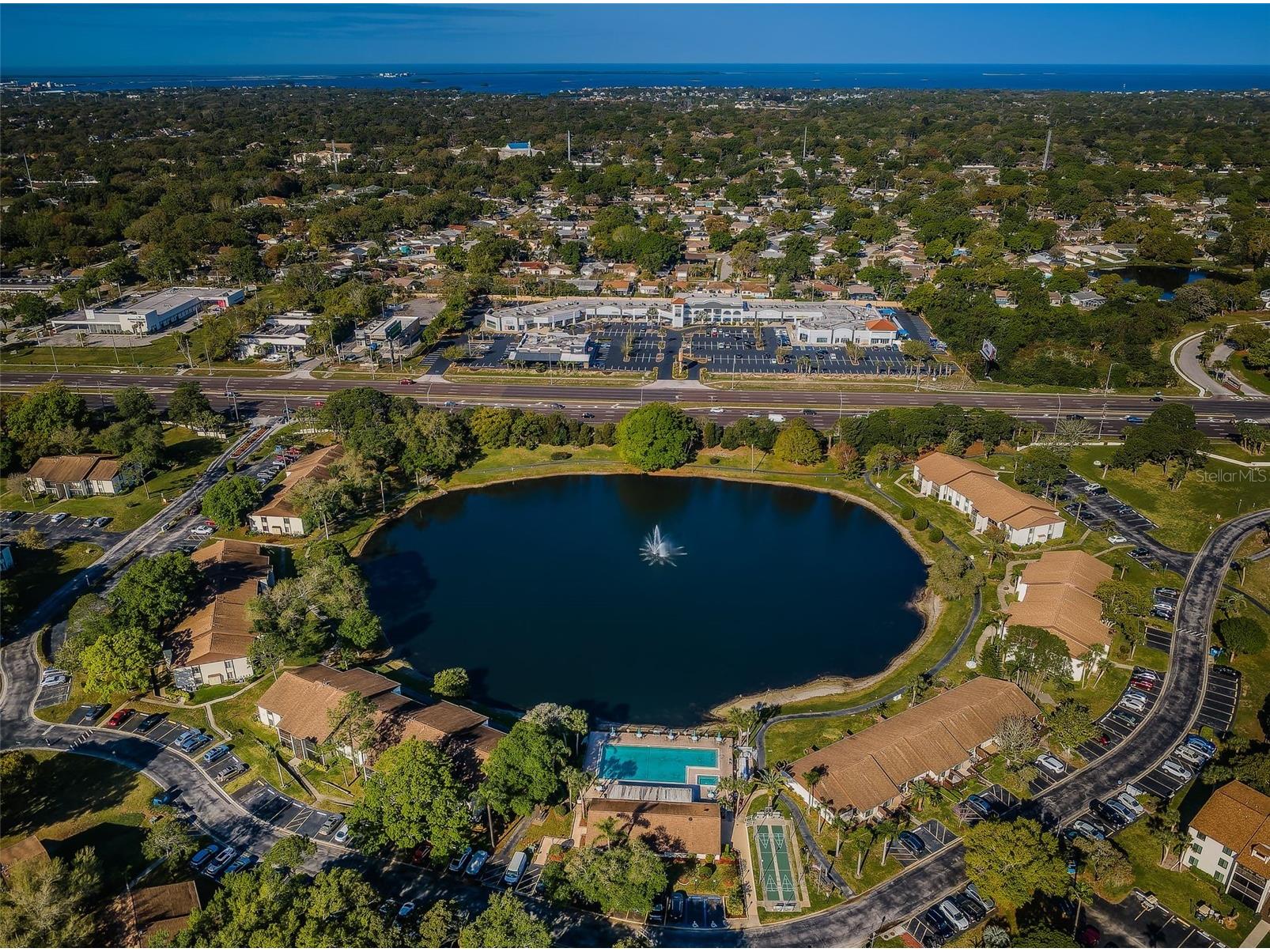 2600 Pine Ridge Way S #A2 Palm Harbor FL 34684 TB8506619 image67