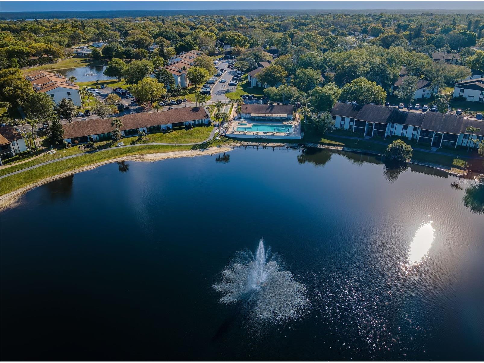 2600 Pine Ridge Way S #A2 Palm Harbor FL 34684 TB8506619 image71