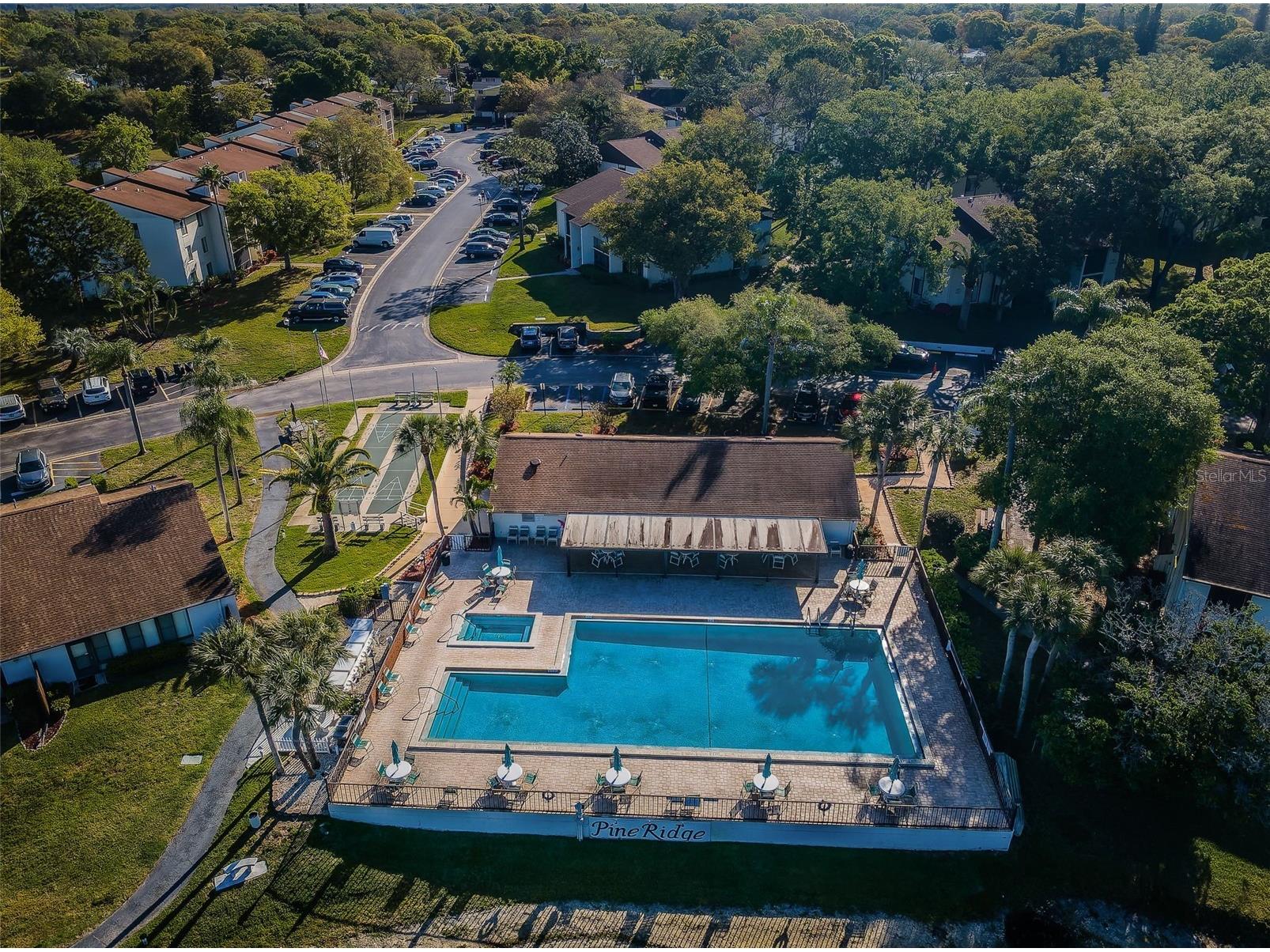 2600 Pine Ridge Way S #A2 Palm Harbor FL 34684 TB8506619 image72