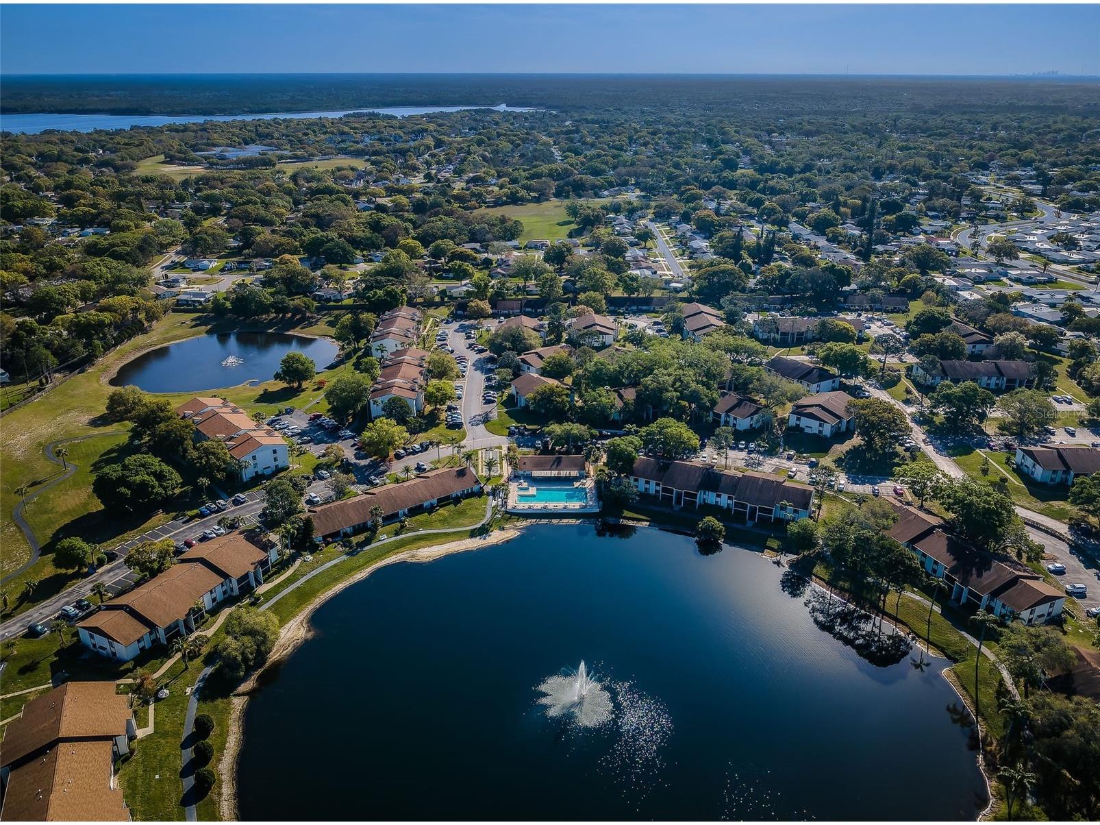 2600 Pine Ridge Way S #A2 Palm Harbor FL 34684 TB8506619 image73