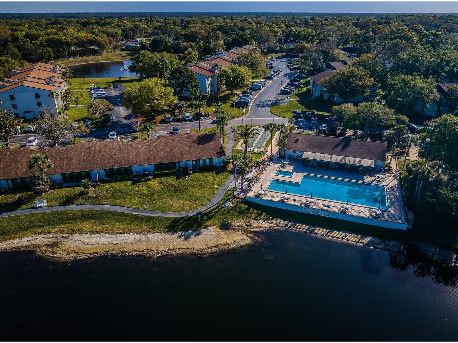 2600 Pine Ridge Way S #A2 Palm Harbor FL 34684 TB8506619 image74