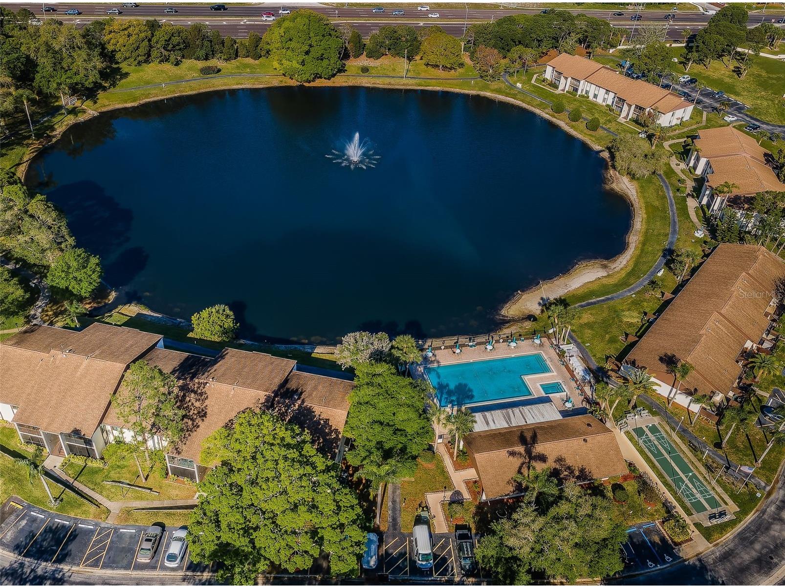2600 Pine Ridge Way S #A2 Palm Harbor FL 34684 TB8506619 image76
