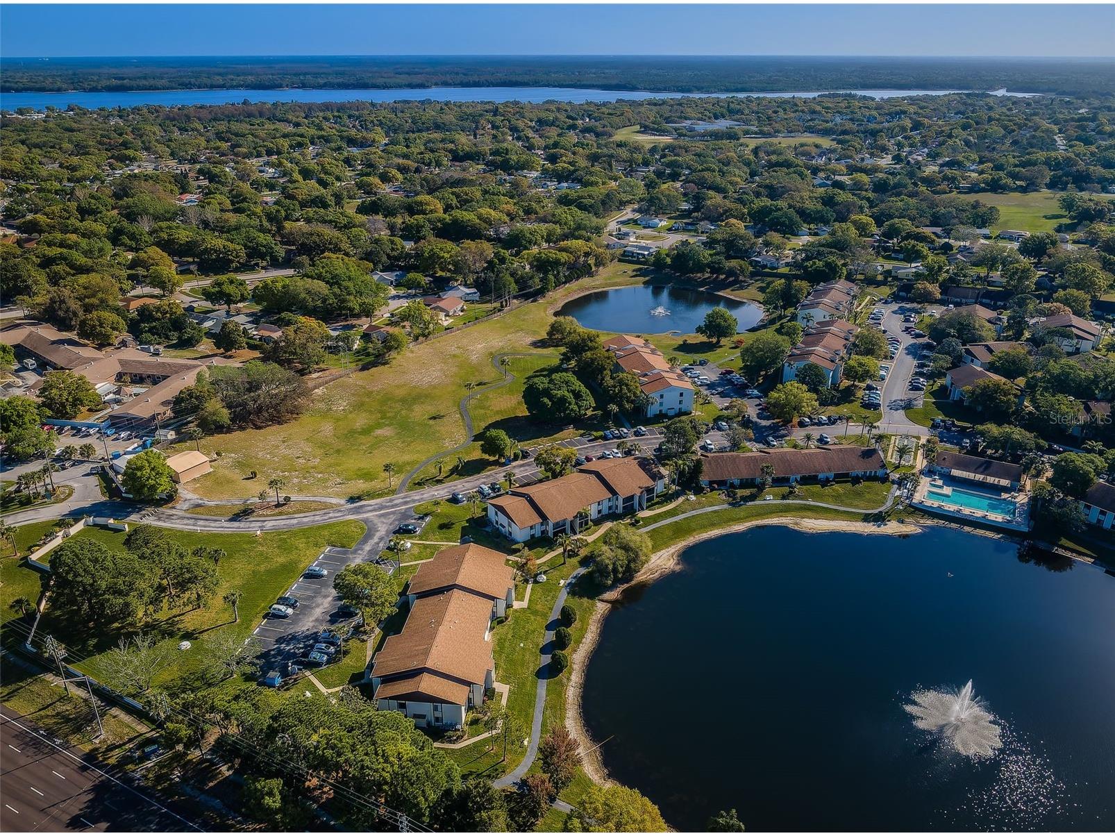 2600 Pine Ridge Way S #A2 Palm Harbor FL 34684 TB8506619 image79