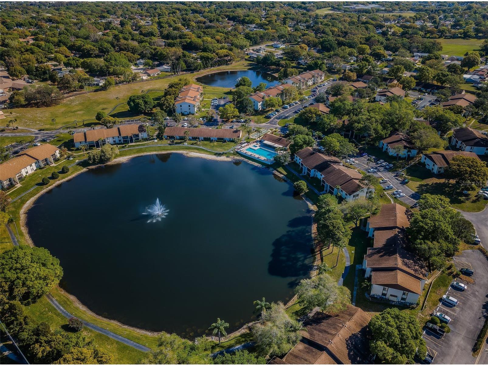 2600 Pine Ridge Way S #A2 Palm Harbor FL 34684 TB8506619 image81