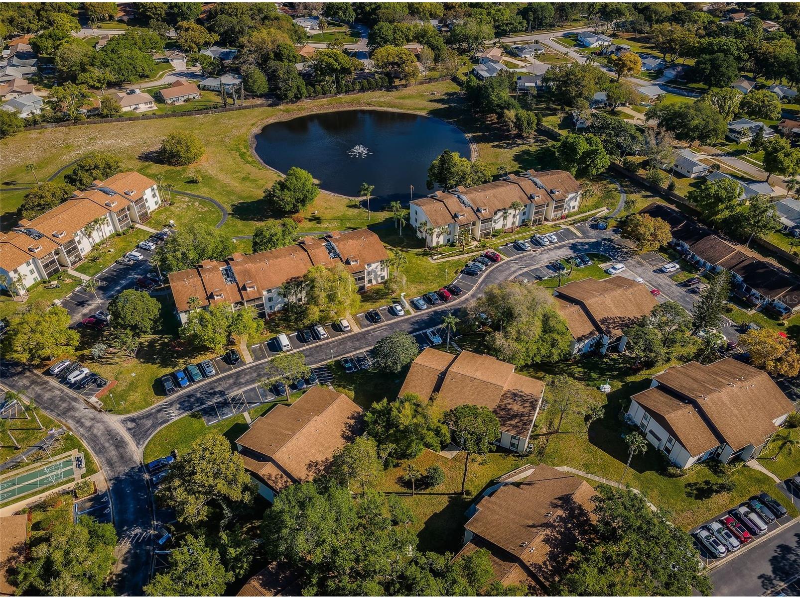 2600 Pine Ridge Way S #A2 Palm Harbor FL 34684 TB8506619 image82