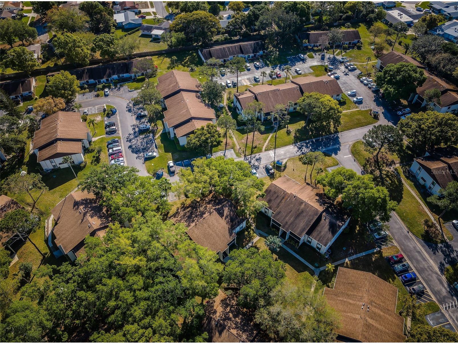 2600 Pine Ridge Way S #A2 Palm Harbor FL 34684 TB8506619 image83