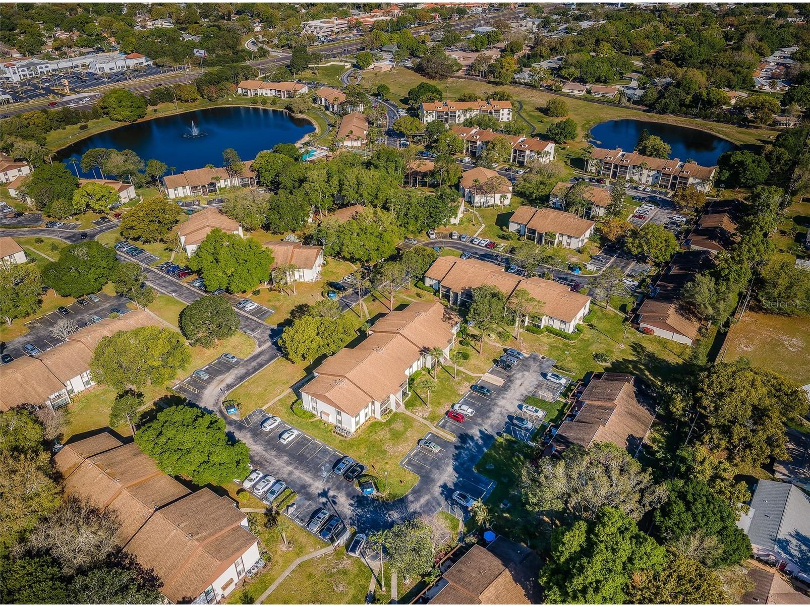 2600 Pine Ridge Way S #A2 Palm Harbor FL 34684 TB8506619 image84