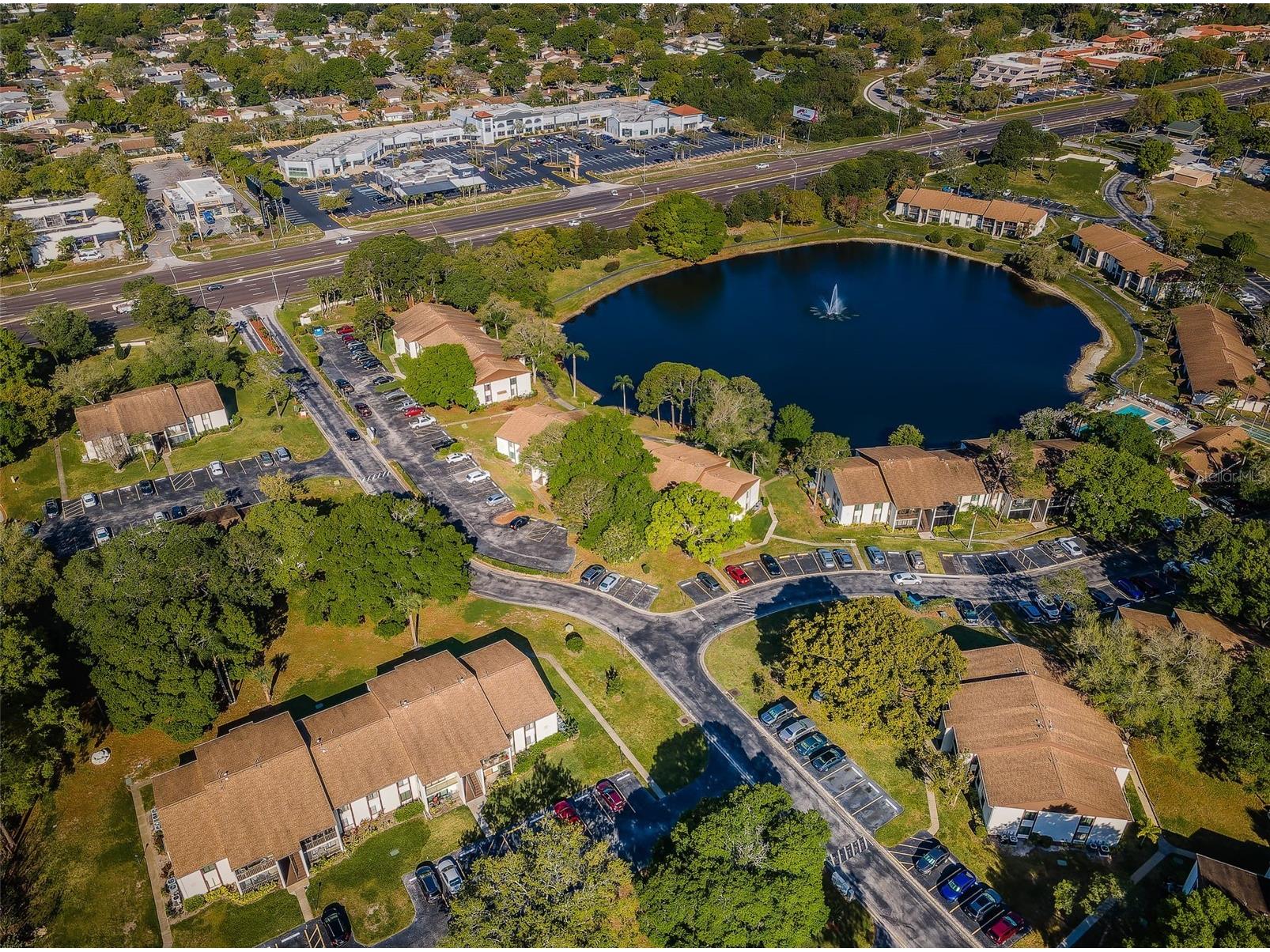 2600 Pine Ridge Way S #A2 Palm Harbor FL 34684 TB8506619 image85