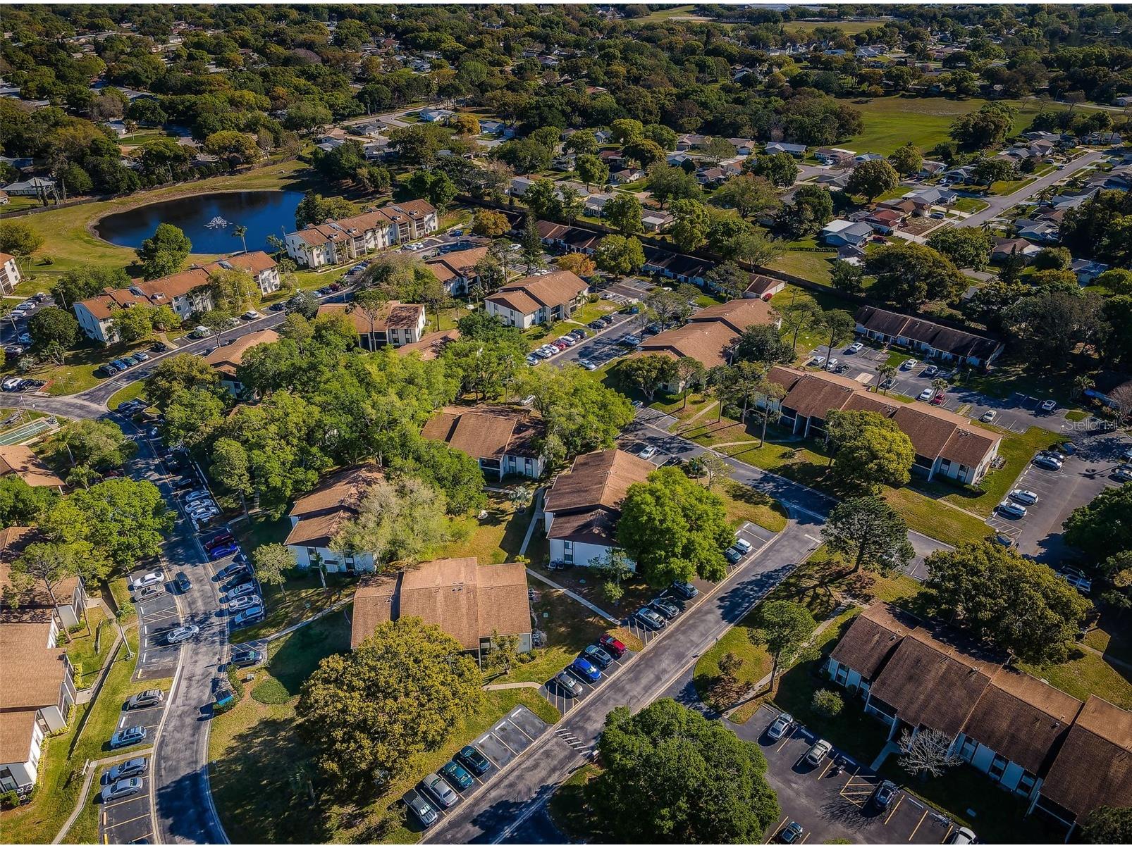 2600 Pine Ridge Way S #A2 Palm Harbor FL 34684 TB8506619 image86