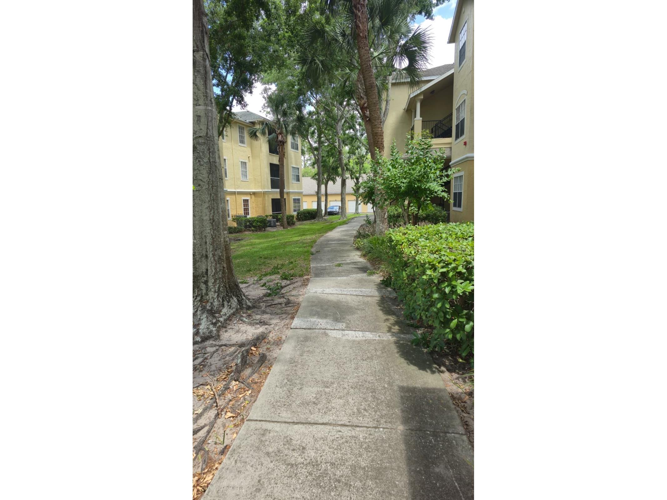 2600 Robert Trent Jones Drive #914 Orlando FL 32835 O6401249 image12
