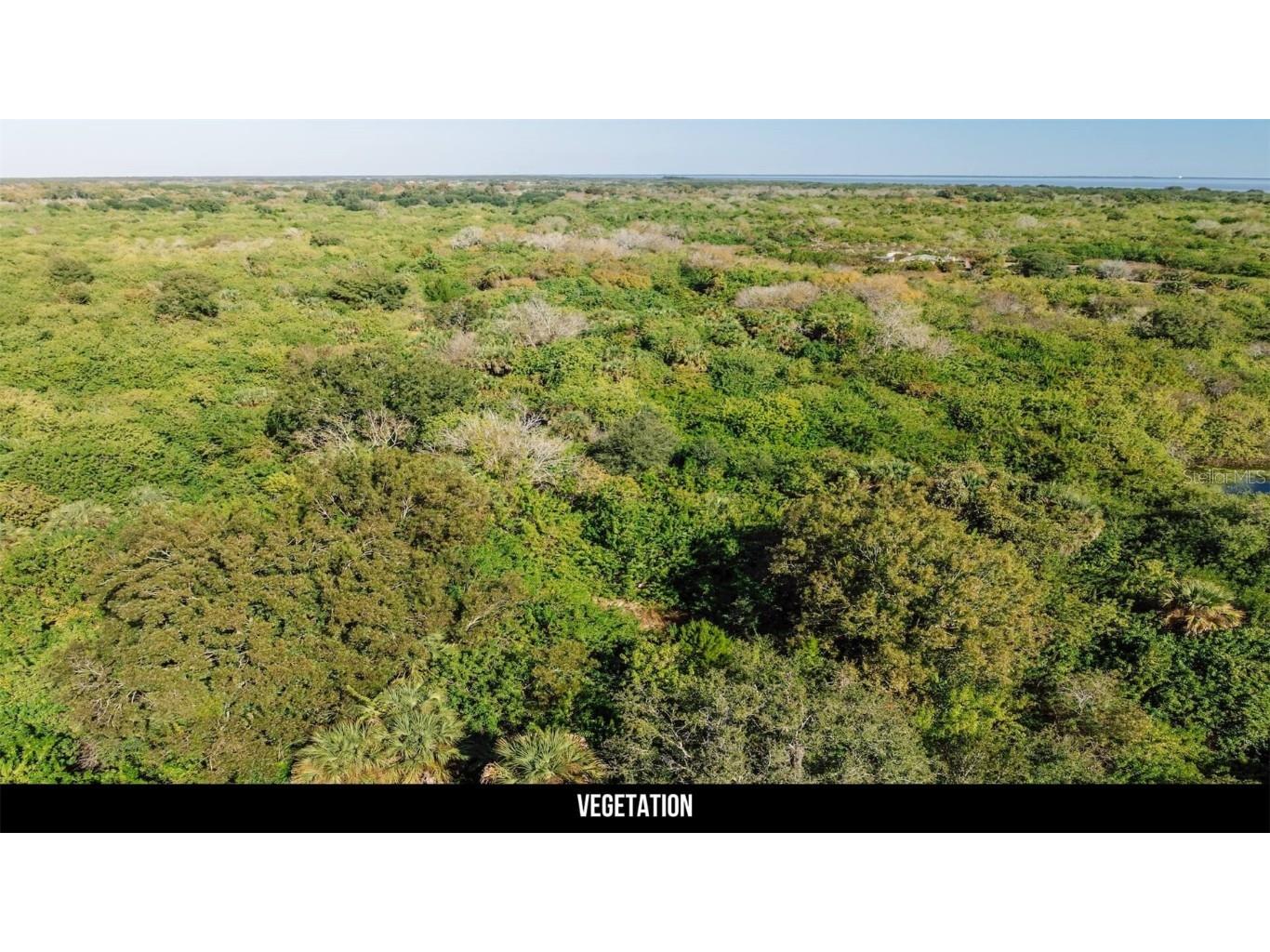 2600 Wiley Avenue Mims FL 32754 TB8451622 image27