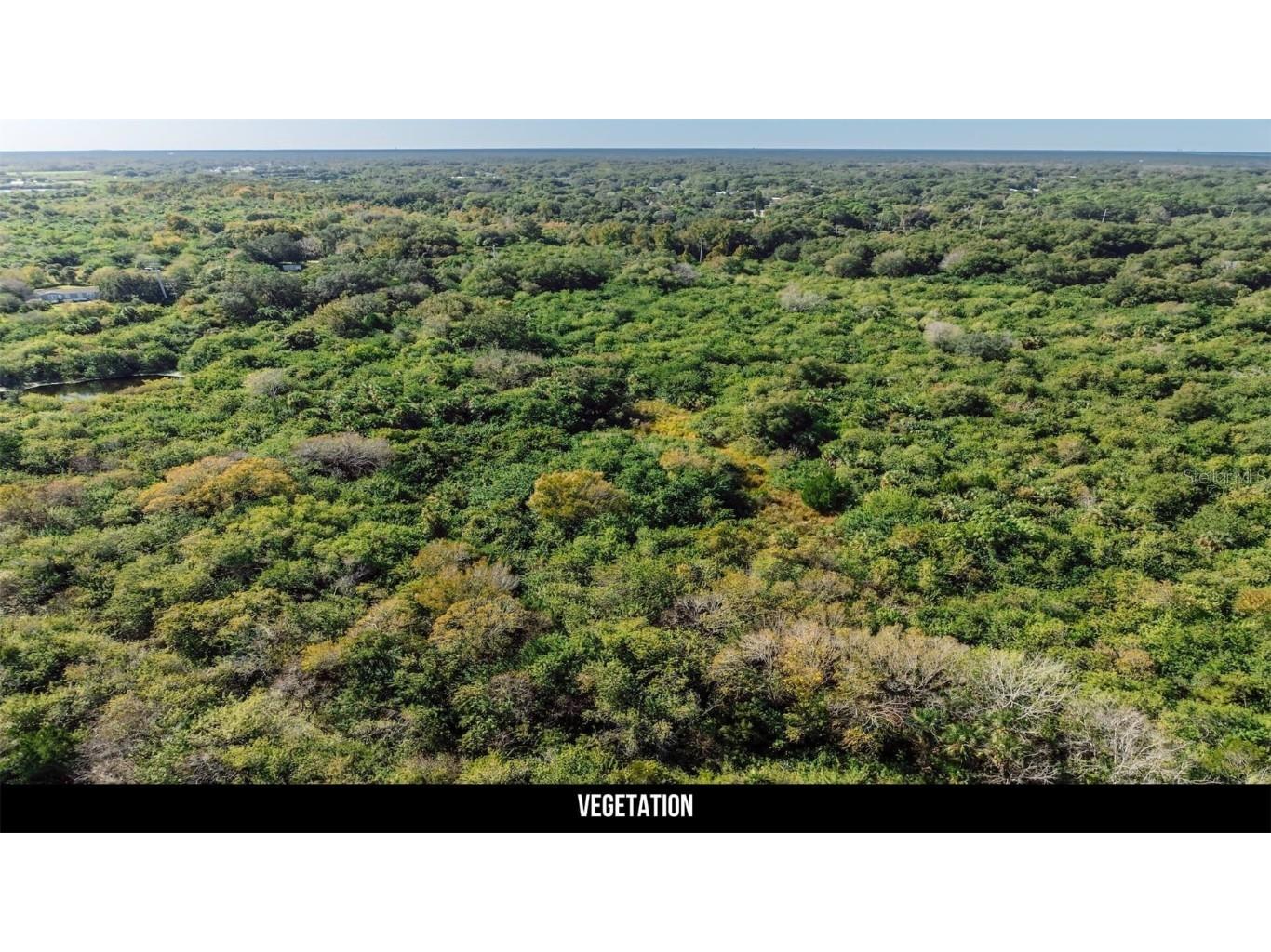 2600 Wiley Avenue Mims FL 32754 TB8451622 image30