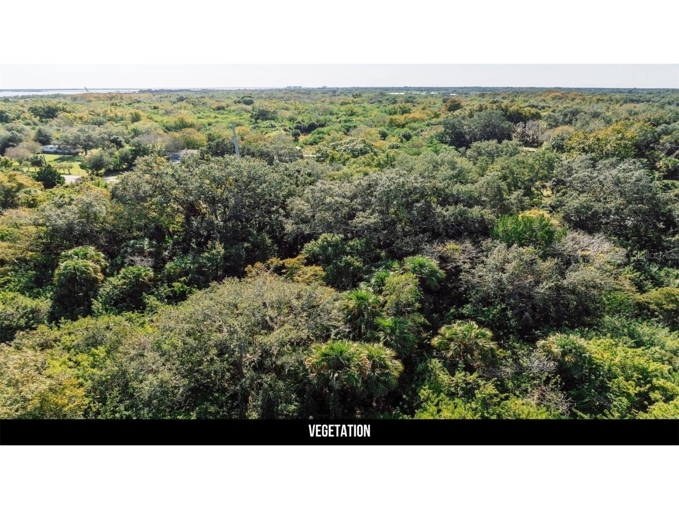2600 Wiley Avenue Mims FL 32754 TB8451622 image31