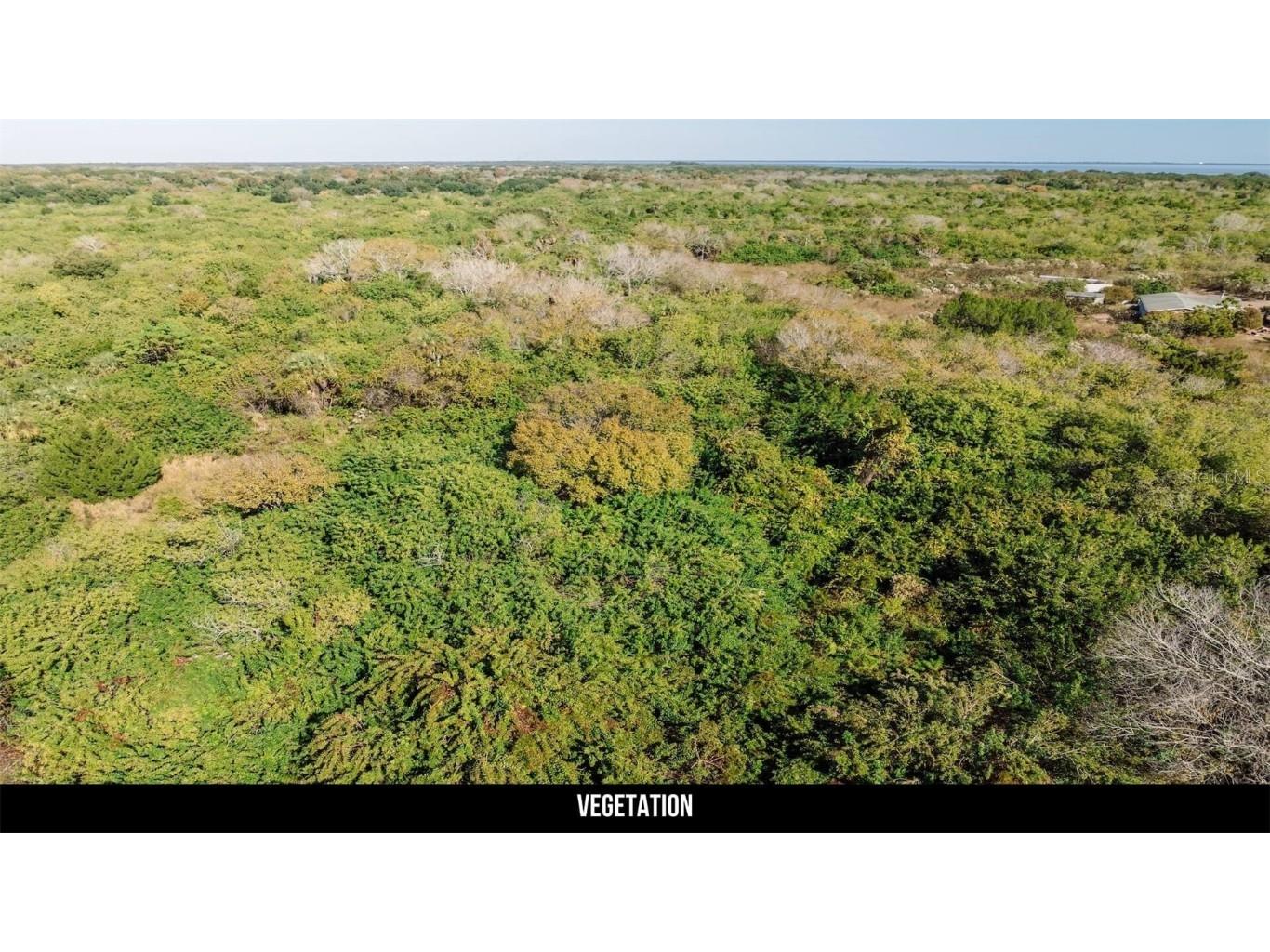 2600 Wiley Avenue Mims FL 32754 TB8451622 image32