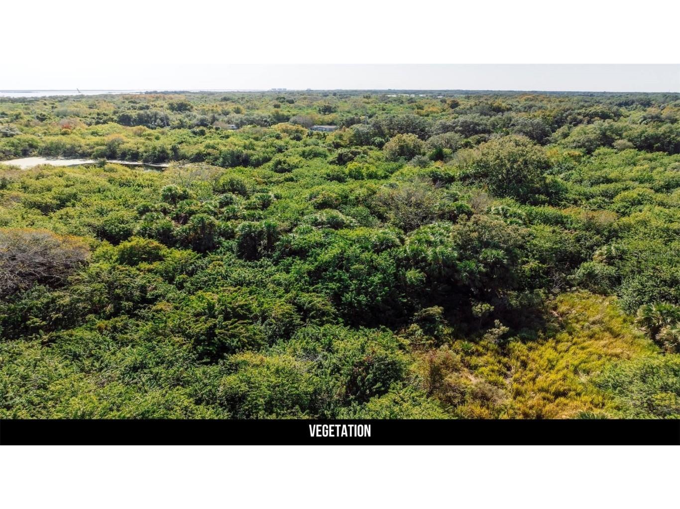 2600 Wiley Avenue Mims FL 32754 TB8451622 image33