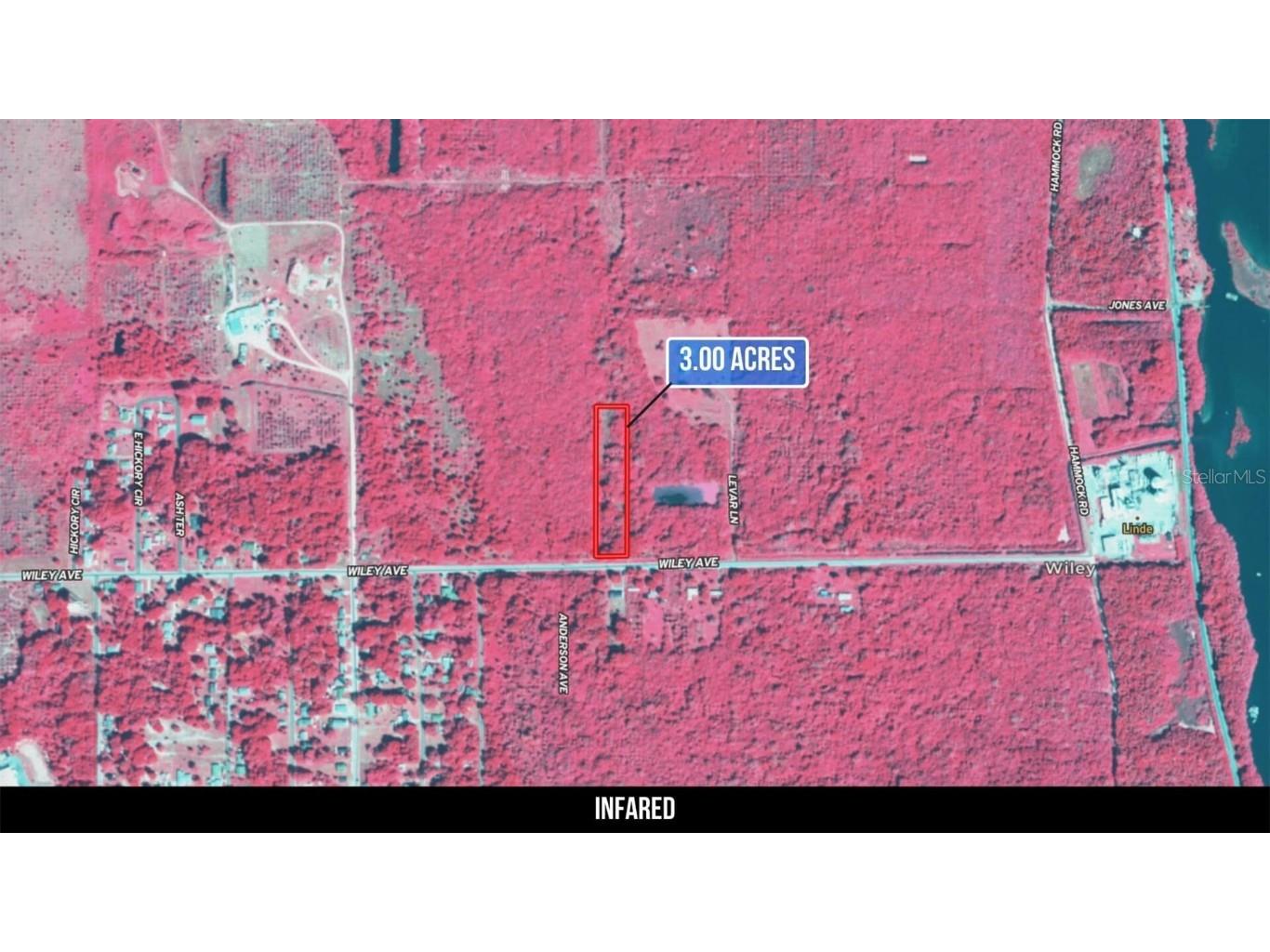 2600 Wiley Avenue Mims FL 32754 TB8451622 image43