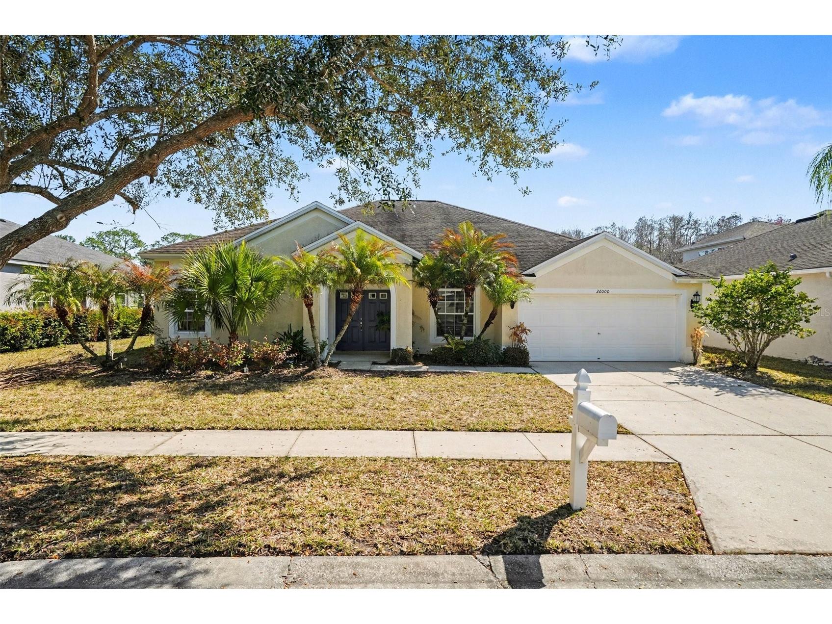 26000 Risen Star Drive Wesley Chapel FL 33544 TB8475806 image14