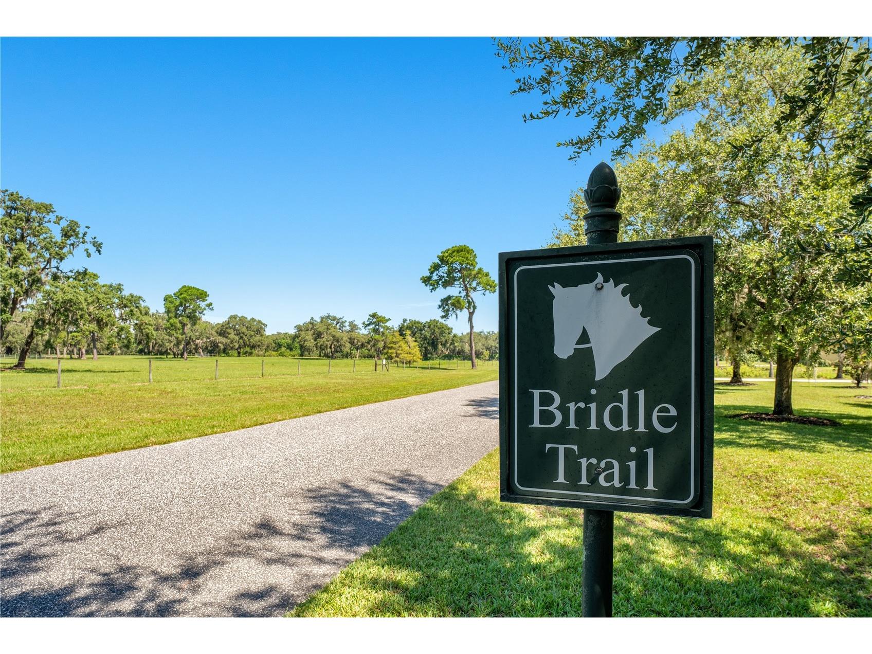 26000 Splendid Meadow Court Astatula FL 34705 - APOPKA- BEAUCLAIR CANAL O6160174 image4