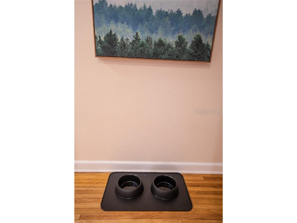 2601 Bethaway Avenue Orlando FL 32806 O6364940 image35