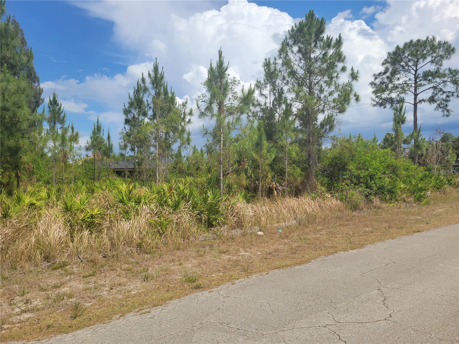 2601 E 10th Street Lehigh Acres FL 33936 A4694678 image2