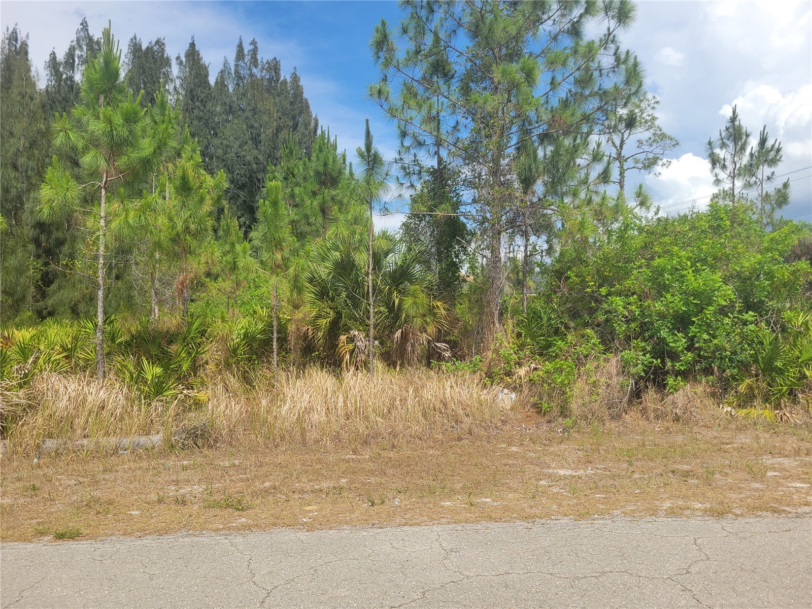 2601 E 10th Street Lehigh Acres FL 33936 A4694678 image3