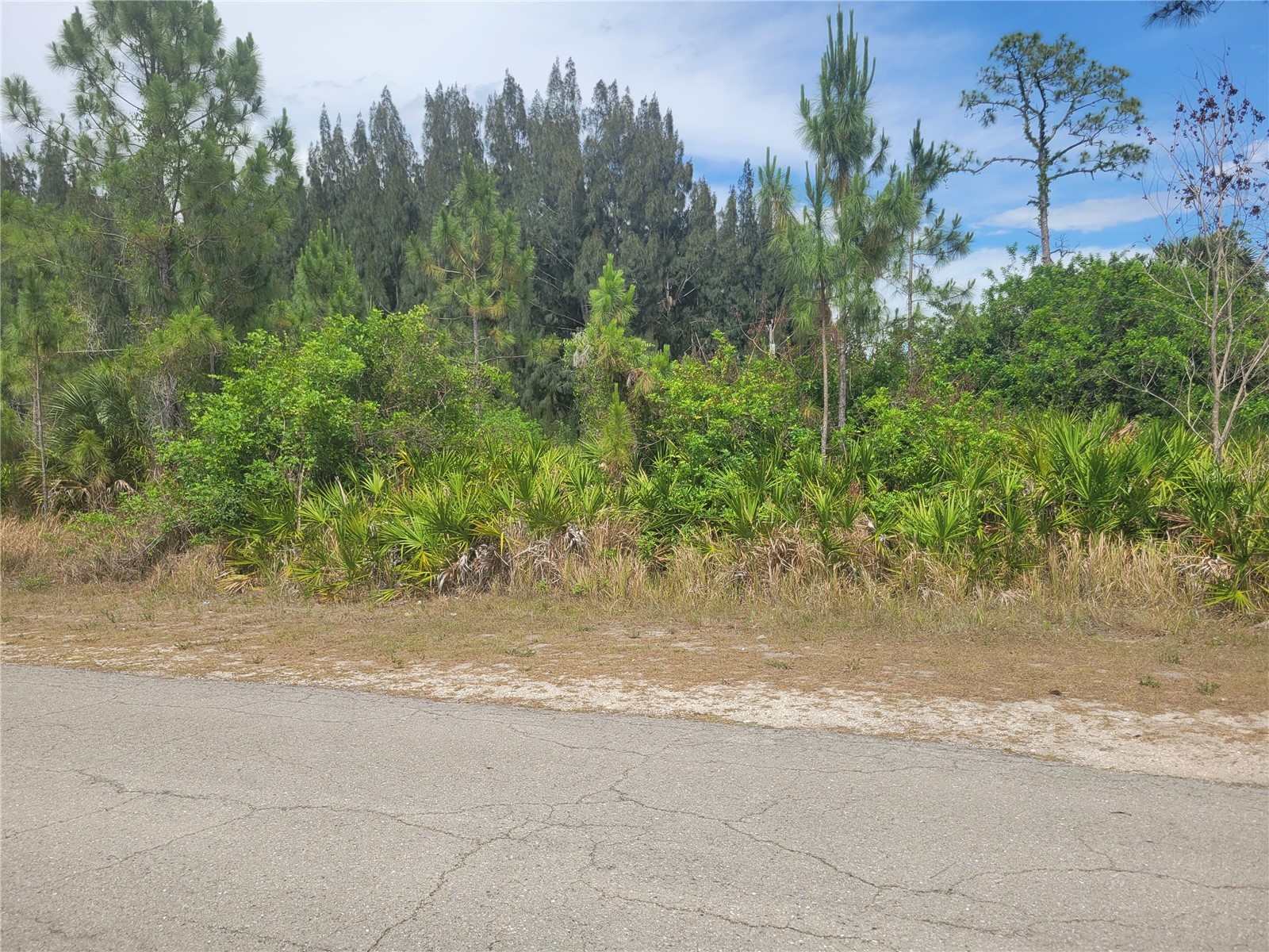 2601 E 10th Street Lehigh Acres FL 33936 A4694678 image6