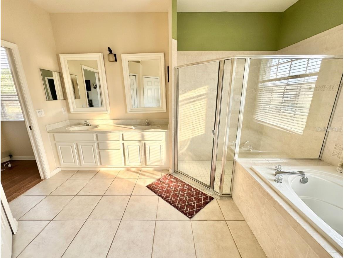 2601 Gold Dust Circle Kissimmee FL 34744 S5146084 image10