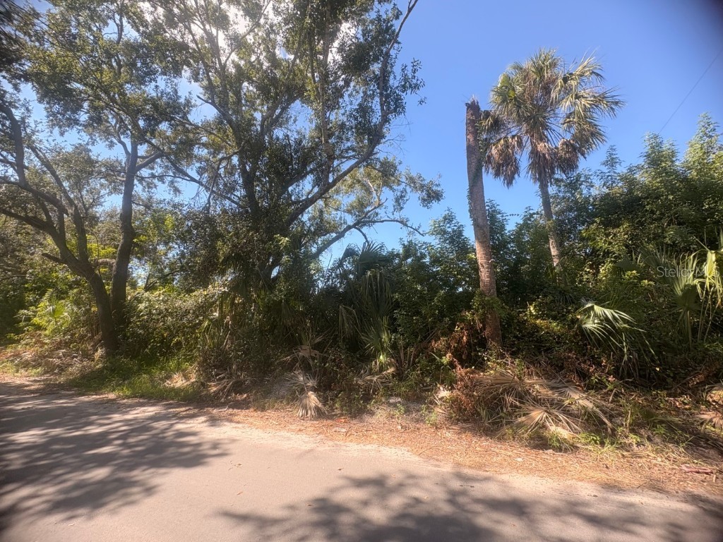 2601 Goldwyn Drive Ruskin FL 33570 TB8440706 image2