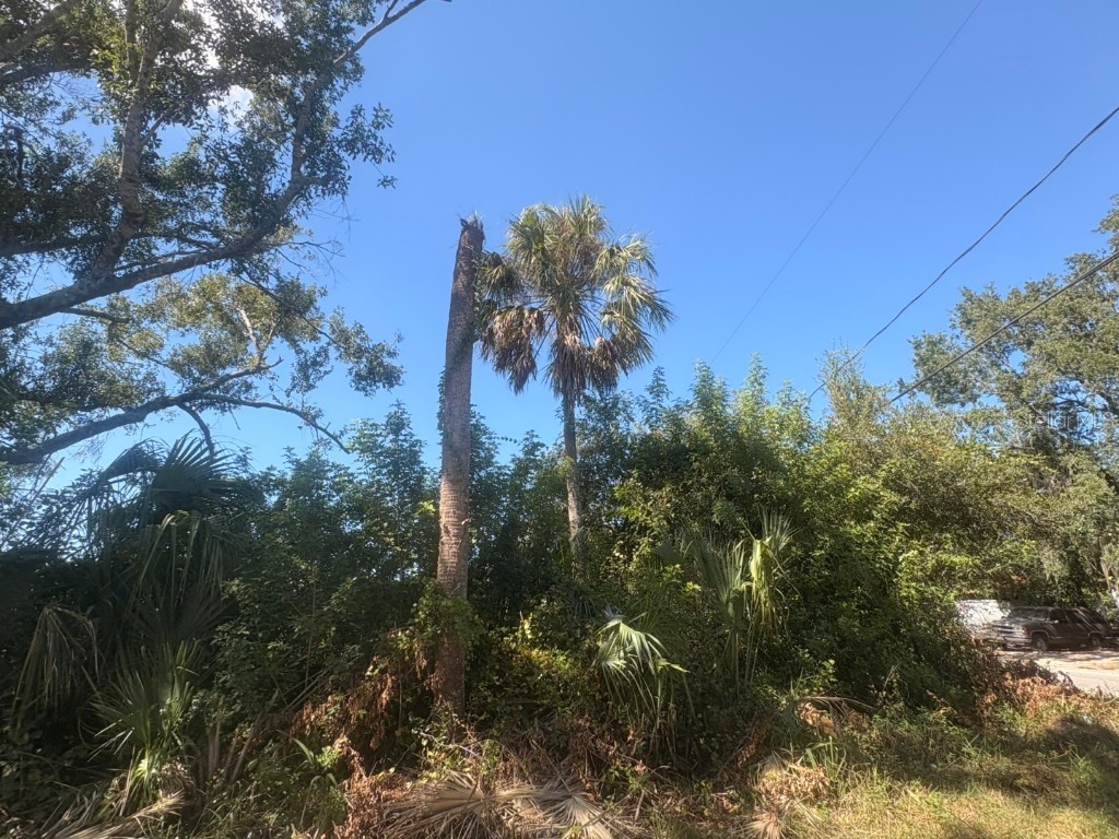 2601 Goldwyn Drive Ruskin FL 33570 TB8440706 image4