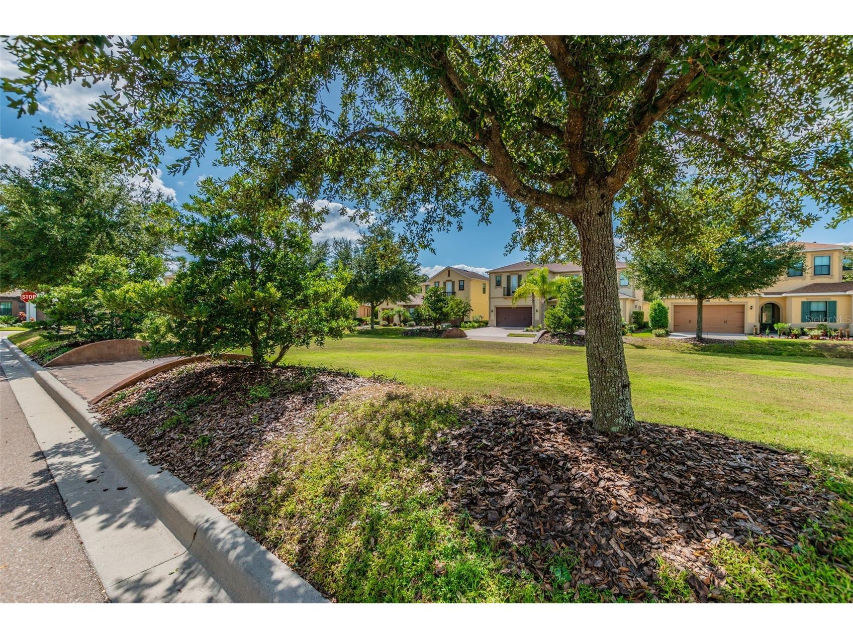 2601 Milford Berry Lane Tampa FL 33618 TB8485172 image58