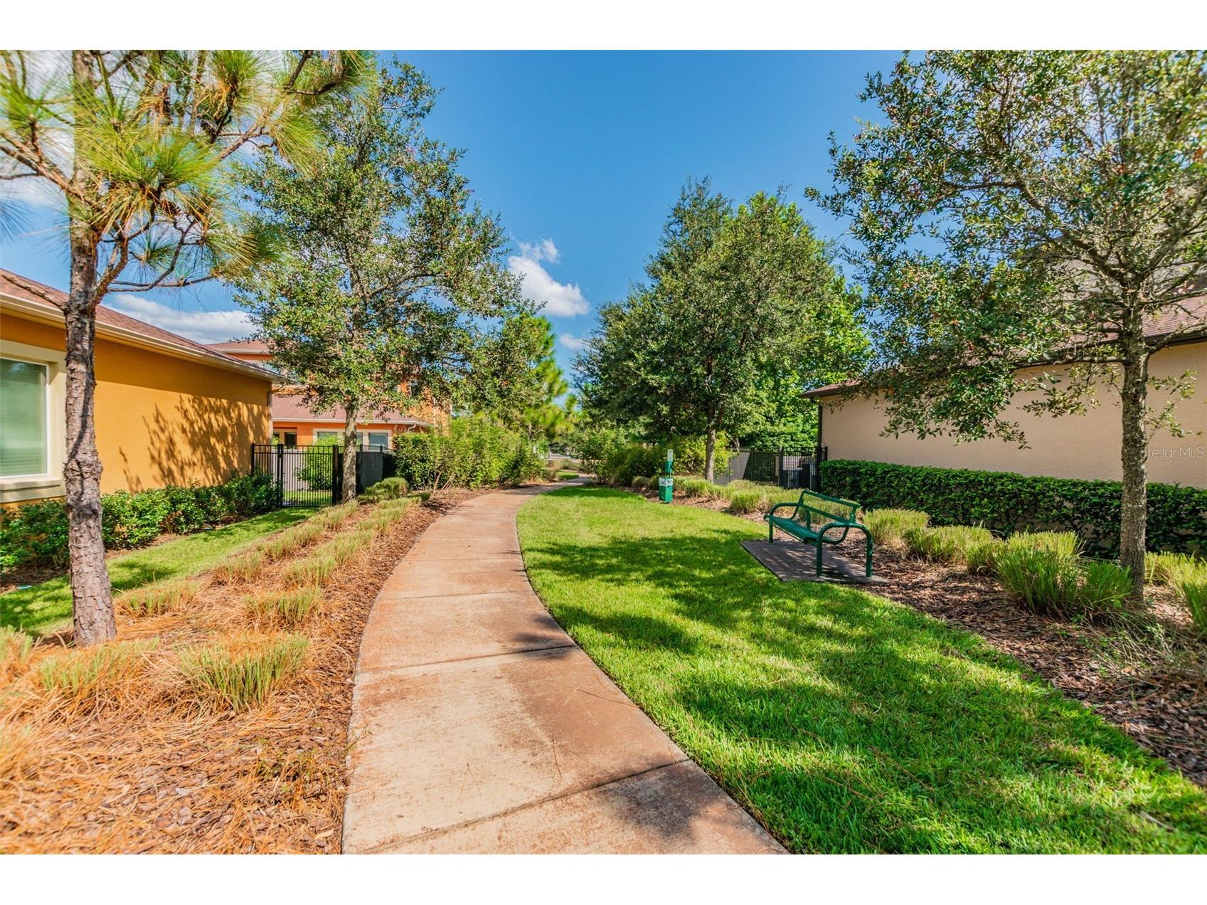 2601 Milford Berry Lane Tampa FL 33618 TB8485172 image60