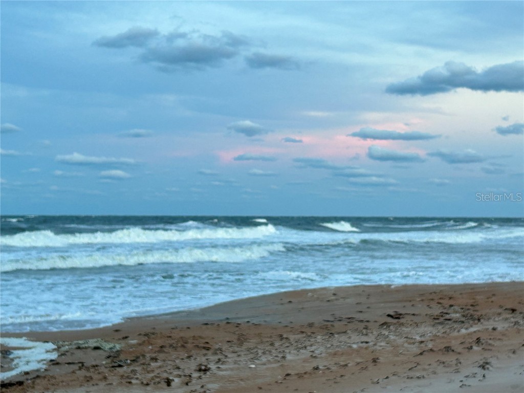 2601 S Peninsula Drive Daytona Beach FL 32118 FC311680 image35