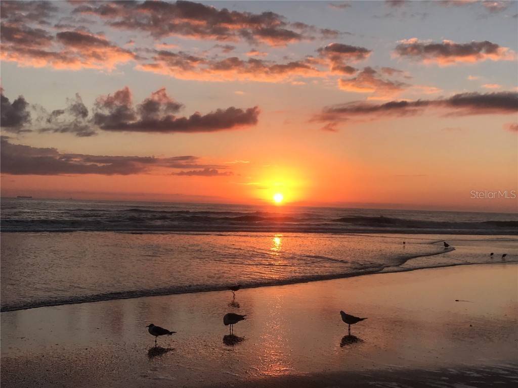 2601 S Peninsula Drive Daytona Beach FL 32118 FC311680 image37