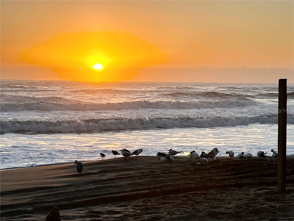 2601 S Peninsula Drive Daytona Beach FL 32118 FC311680 image38