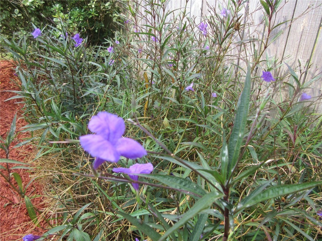 2601 SE 175th Terrace Road Silver Springs FL 34488 OM714642 image14