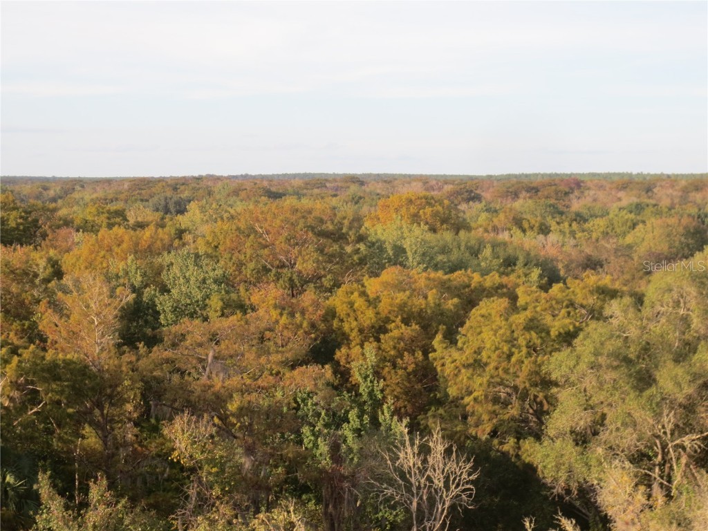 2601 SE 175th Terrace Road Silver Springs FL 34488 OM714642 image58