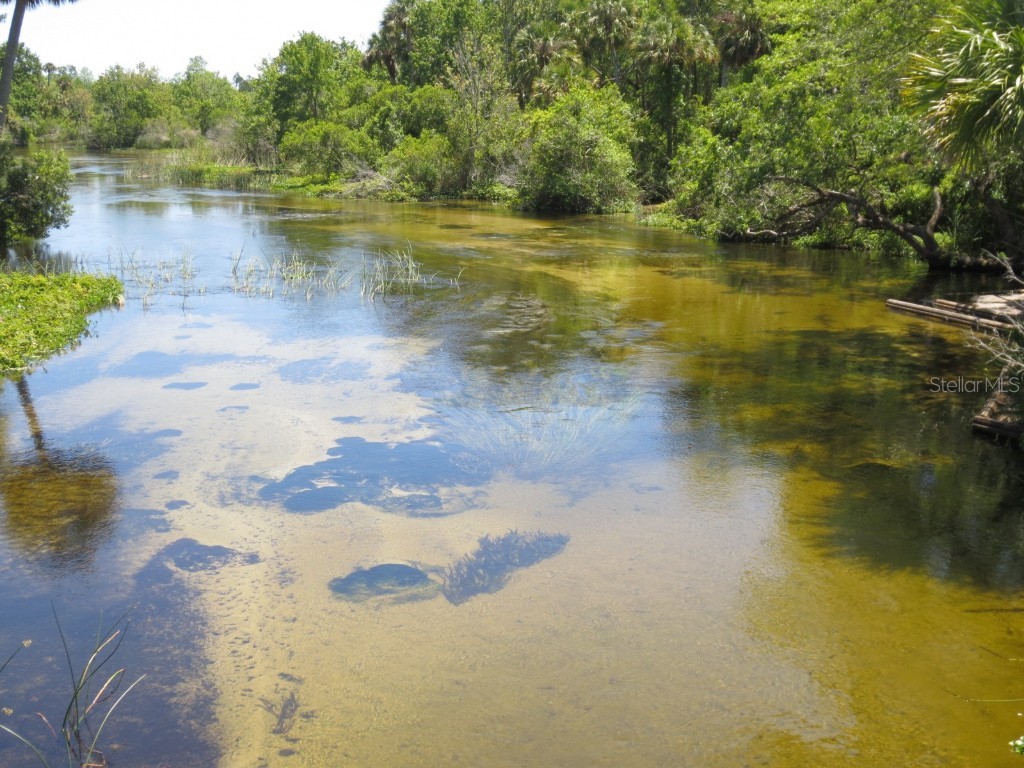 2601 SE 175th Terrace Road Silver Springs FL 34488 OM714642 image77