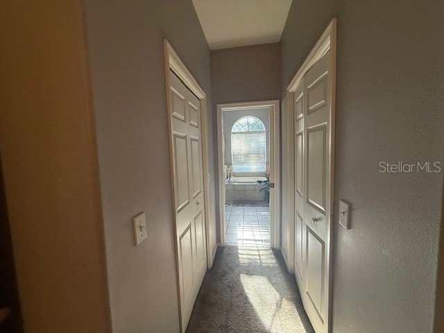 2601 Villa Dr Valrico FL 33596 TB8423822 image17