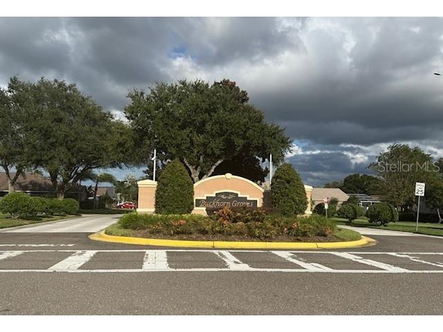 2601 Villa Dr Valrico FL 33596 TB8423822 image41