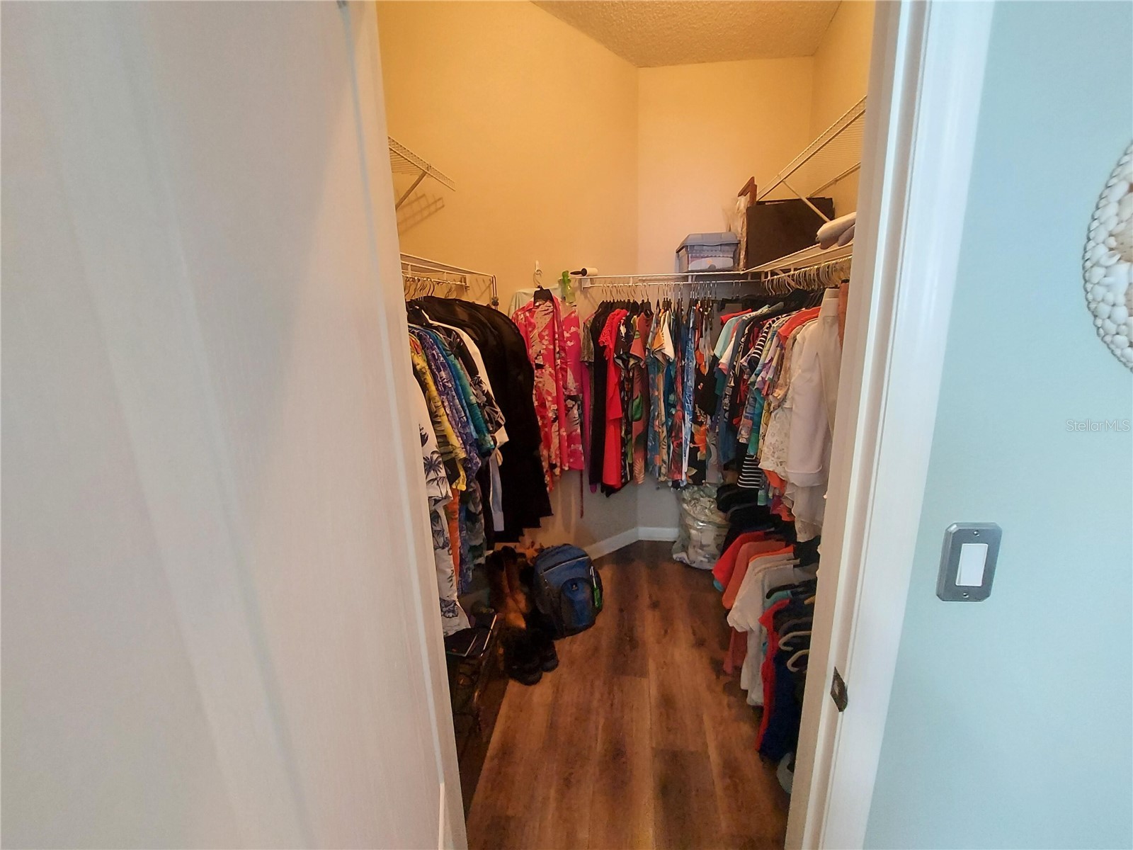 26010 Newcombe Circle Leesburg FL 34748 O6414385 image23
