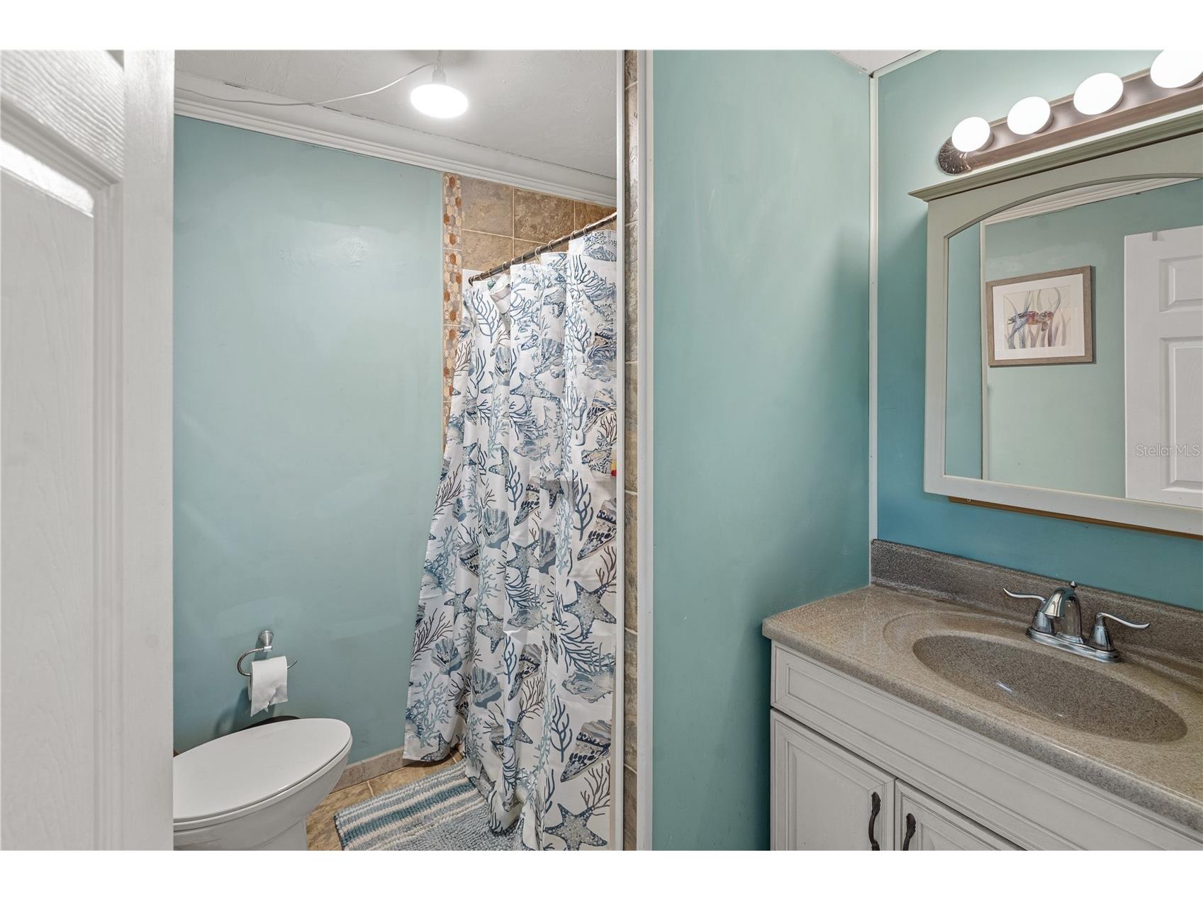 26015 Sackamaxon Drive Sorrento FL 32776 - MT. PLYMOUTH LAKE G5114138 image15