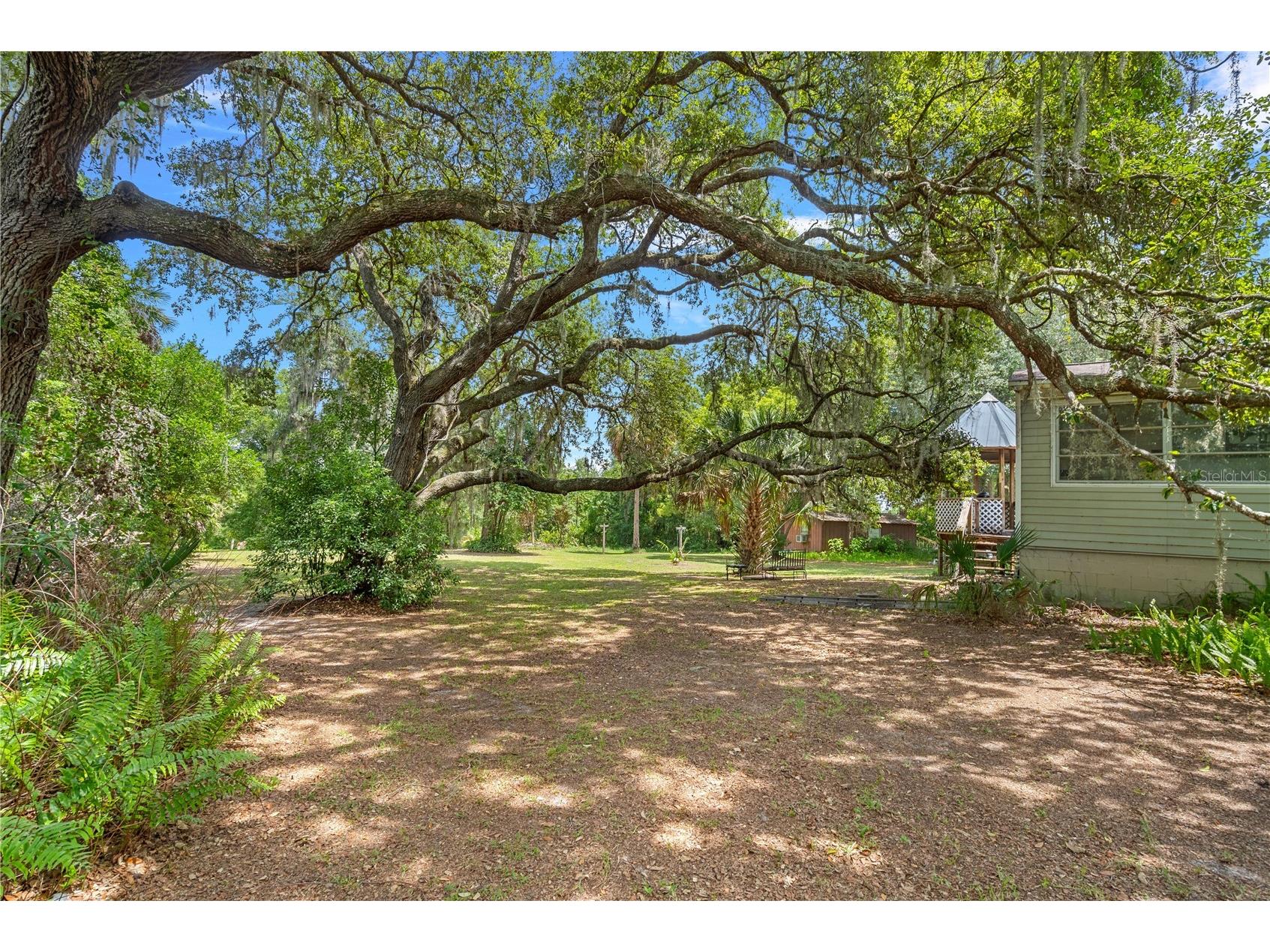26015 Sackamaxon Drive Sorrento FL 32776 - MT. PLYMOUTH LAKE G5114138 image23