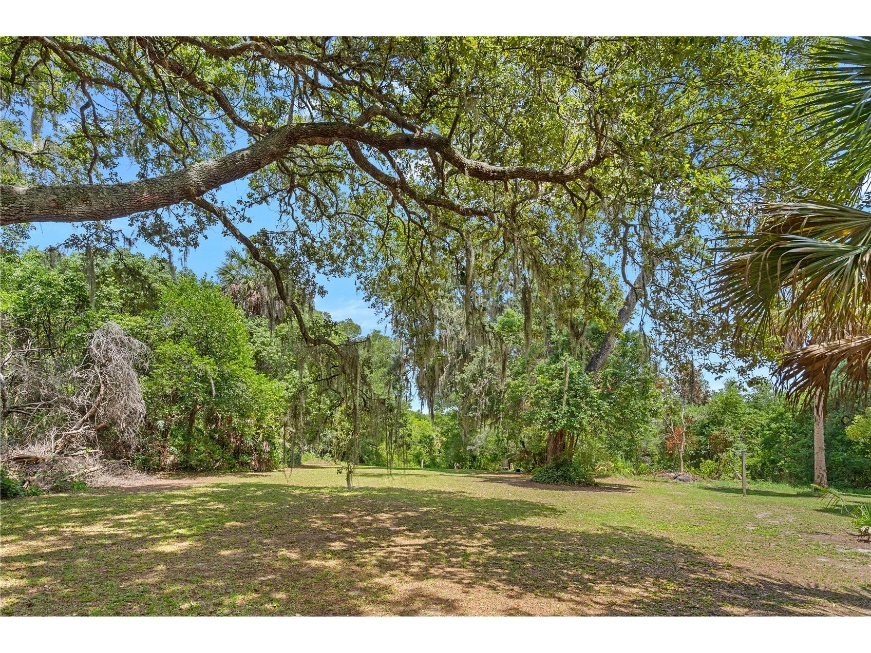 26015 Sackamaxon Drive Sorrento FL 32776 - MT. PLYMOUTH LAKE G5114138 image27