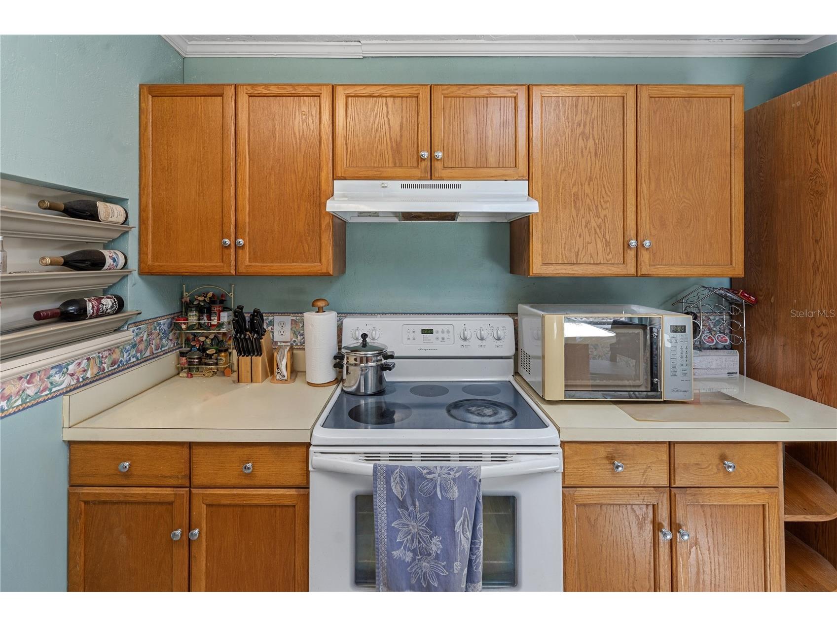 26015 Sackamaxon Drive Sorrento FL 32776 - MT. PLYMOUTH LAKE G5114138 image8