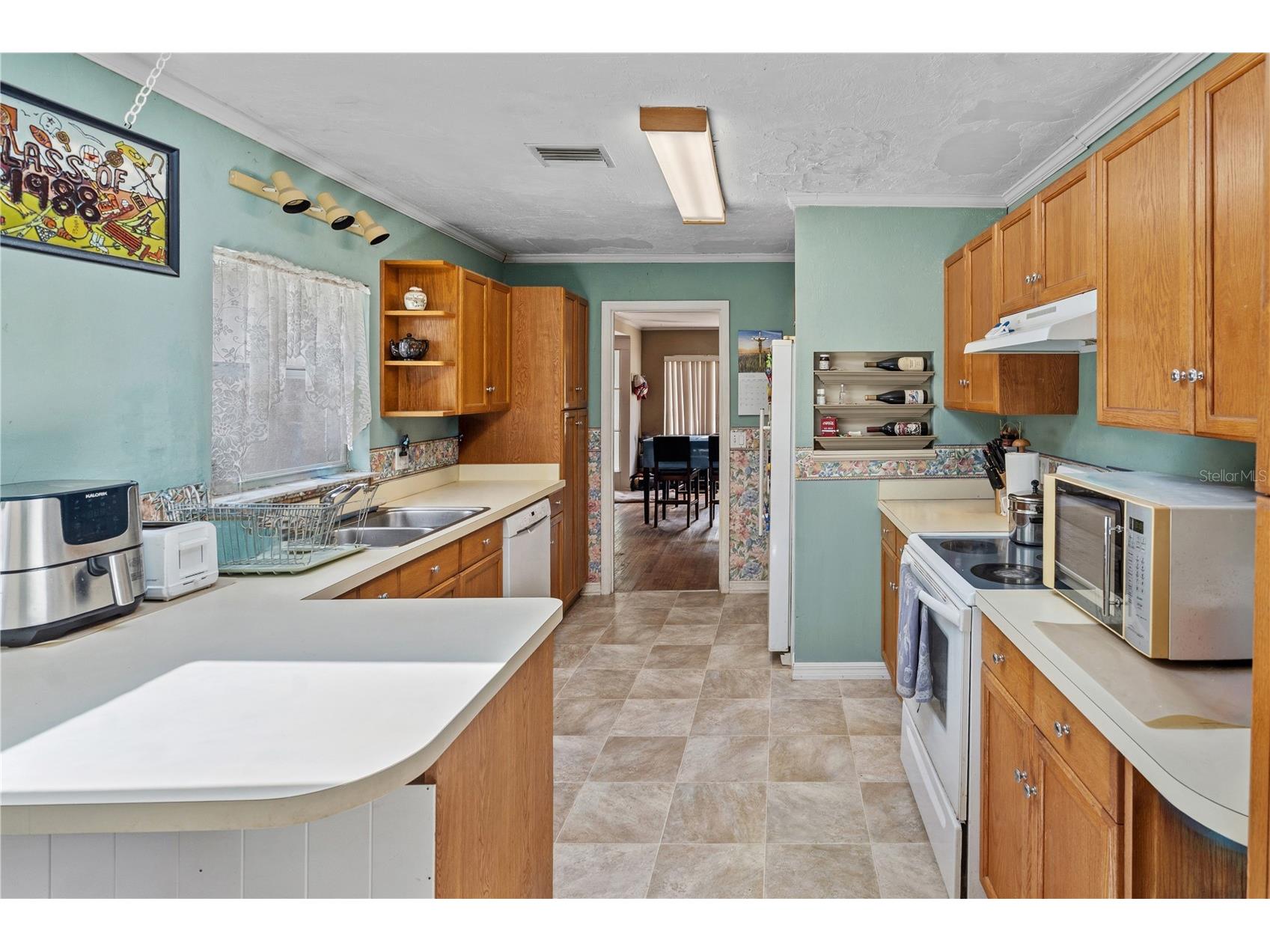 26015 Sackamaxon Drive Sorrento FL 32776 - MT. PLYMOUTH LAKE G5114138 image9