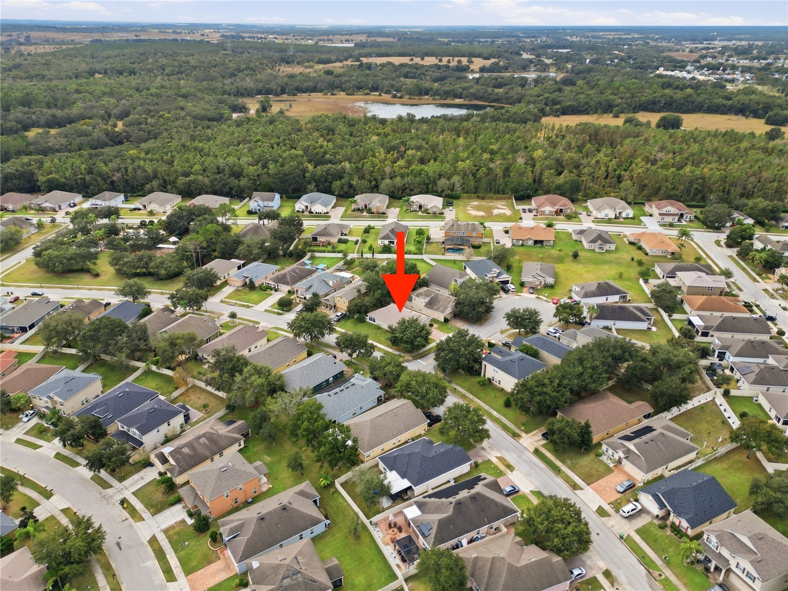 26016 Singing Lark Court Leesburg FL 34748 TB8461364 image6