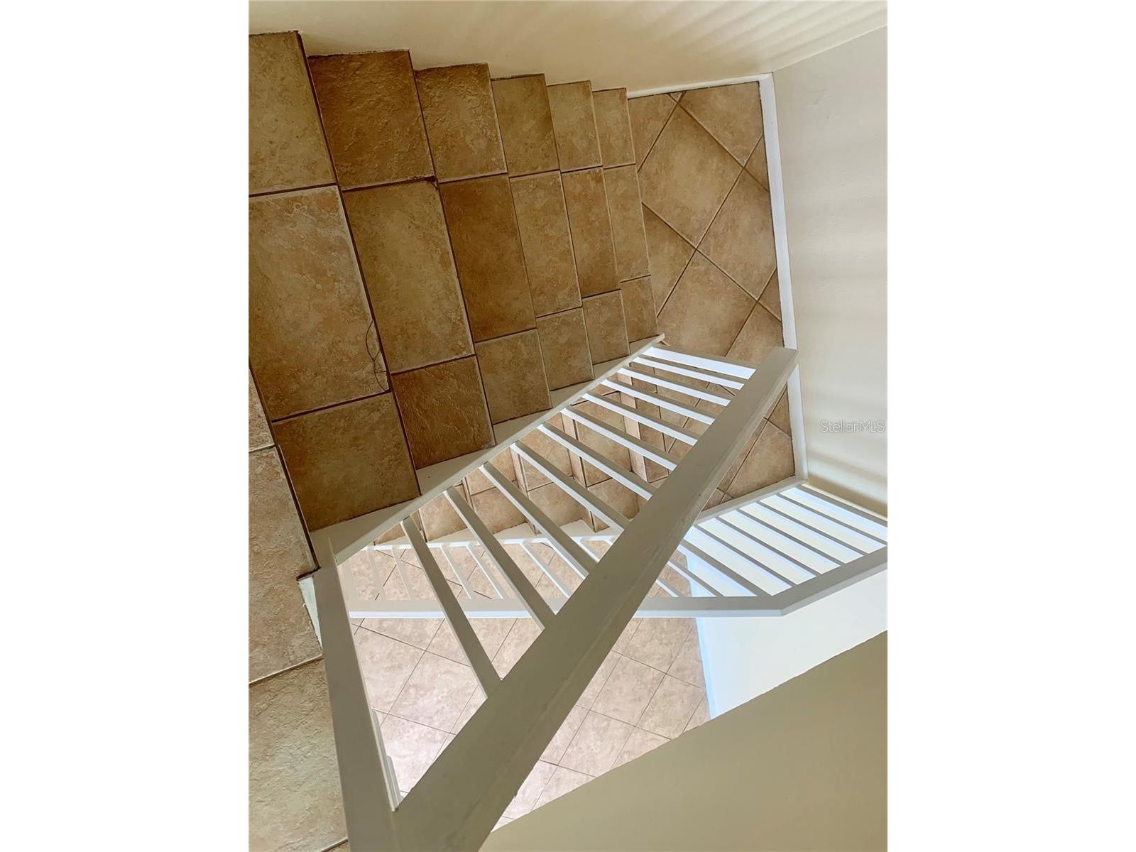2602 7th Court #15 Palm Harbor FL 34684 TB8518730 image18