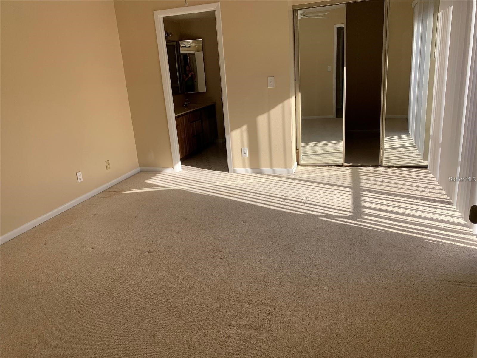 2602 7th Court #15 Palm Harbor FL 34684 TB8518730 image19